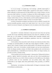 Žmogaus socializacinių santykių sistemos ypatumai 7 puslapis