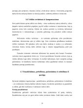 Žmonių išteklių valdymas 14 puslapis