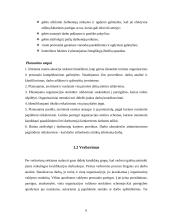 Žmonių išteklių valdymas 6 puslapis