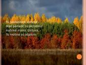 Lietuva skaidrės 12 puslapis