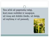Lietuva skaidrės 17 puslapis
