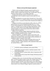 Apsauga nuo elektros ir elektros traumos 6 puslapis