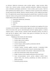 Žmonių su negale gyvenimo kokybės gerinimo prielaidos 2 puslapis