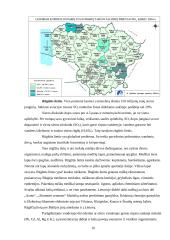 Žmonių veiklos įtaka floros nykimui ir mažėjimui 16 puslapis