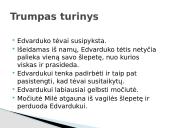 “Šlepetė” Vytautas Račickas 2 puslapis