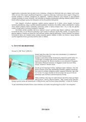 Žuvų evoliucija, žuvininkystė 8 puslapis