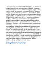 Žvaigždės ir galaktikos 8 puslapis