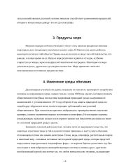 Экологическое загрязнение 4 puslapis