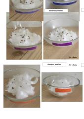 Sėklų dygimo tyrimas 3 puslapis