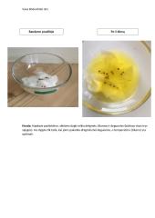 Sėklų dygimo tyrimas 4 puslapis