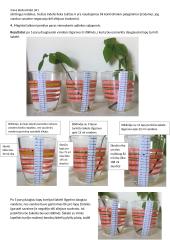 Vandens garavimo pro lapus tyrimas 2 puslapis