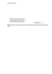 Vandens judėjimas augalo stiebu 3 puslapis