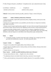 F. Kafka. Žmogaus dvilypumo („vabališkumo“ / žmogiškumo) tema
