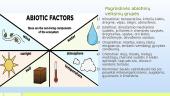 Aplinka. Abiotiniai veiksniai 3 puslapis