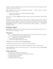 Tikybos konspektas 13 puslapis