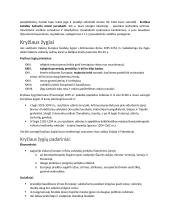 Tikybos konspektas 5 puslapis