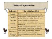 Plati baudžiavos istorija 11 puslapis