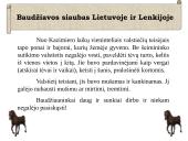 Plati baudžiavos istorija 12 puslapis