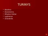 Organizmai ir juos supanti aplinka 2 puslapis