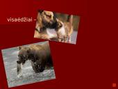 Organizmai ir juos supanti aplinka 11 puslapis