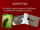 Organizmai ir juos supanti aplinka 13 puslapis