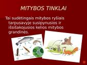 Organizmai ir juos supanti aplinka 14 puslapis