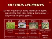 Organizmai ir juos supanti aplinka 16 puslapis