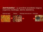 Organizmai ir juos supanti aplinka 18 puslapis