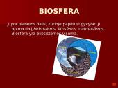 Organizmai ir juos supanti aplinka 3 puslapis