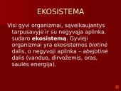 Organizmai ir juos supanti aplinka 4 puslapis