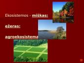 Organizmai ir juos supanti aplinka 5 puslapis