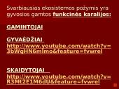 Organizmai ir juos supanti aplinka 6 puslapis