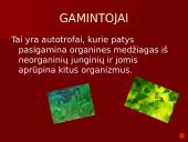 Organizmai ir juos supanti aplinka 7 puslapis