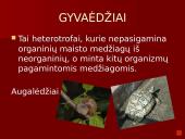 Organizmai ir juos supanti aplinka 9 puslapis