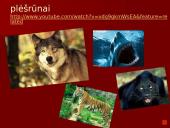 Organizmai ir juos supanti aplinka 10 puslapis