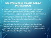 Apie geležinkelių transportą 3 puslapis