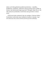Prisiminimų svarba žmogaus gyvenimui 2 puslapis
