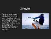 Akvakultūra bei žvejyba 3 puslapis