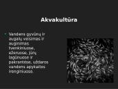 Akvakultūra bei žvejyba 8 puslapis