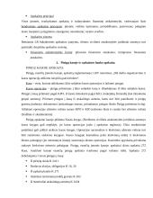 Apskaitos esmė ir pagrindai 2 puslapis