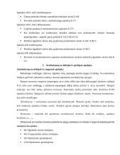 Apskaitos esmė ir pagrindai 11 puslapis
