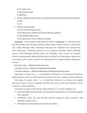 Apskaitos esmė ir pagrindai 19 puslapis
