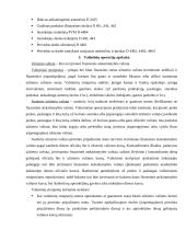 Apskaitos esmė ir pagrindai 6 puslapis