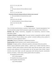 Apskaitos esmė ir pagrindai 10 puslapis