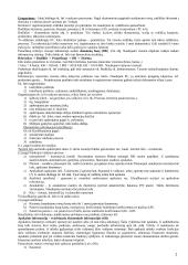 Apskaitos informacinės sistemos 2 puslapis