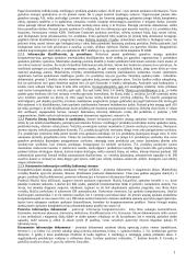 Apskaitos informacinės sistemos 11 puslapis