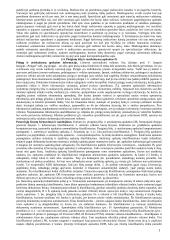 Apskaitos informacinės sistemos 14 puslapis