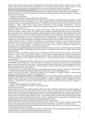 Apskaitos informacinės sistemos 15 puslapis