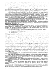 Apskaitos informacinės sistemos 18 puslapis