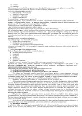 Apskaitos informacinės sistemos 3 puslapis